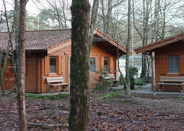 Lodge Veluwse Poort Dieren