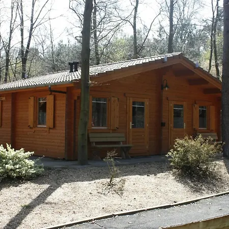Veluwse Poort 山林小屋 迪亚伦