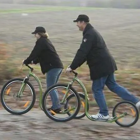 Veluwse Poort Dieren
