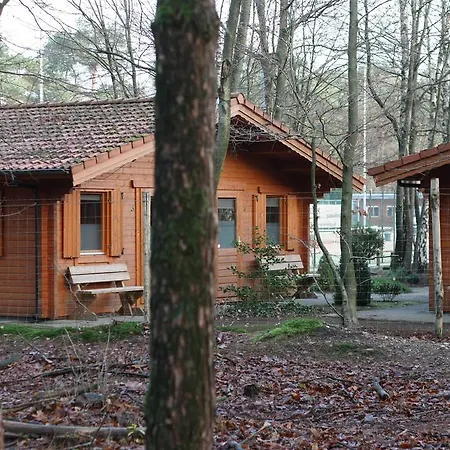 Lodge Veluwse Poort Dieren