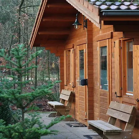 Veluwse Poort 山林小屋