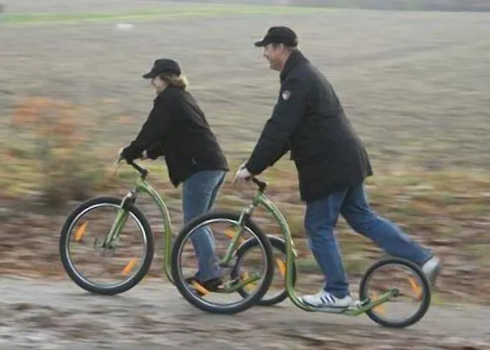Veluwse Poort Dieren